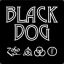 Blackdog