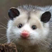 Bunski