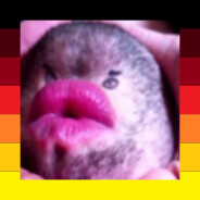 Bärtiger Bastard avatar
