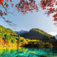 锟斤拷烫烫烫0xDD