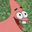 Patrick star