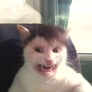 HELP HELP HELP HELP HELP HELP