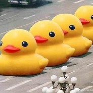 BigYellowDuck