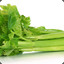 Celery™