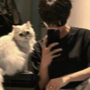 遗憾没能成为你的例外