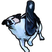 AomK