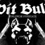 ๖ۣۜPIT๖ۣۜBUll