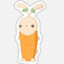 Sometime Carry Sometime carrot