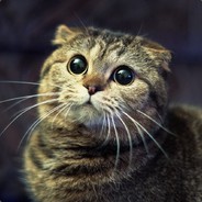 606k4