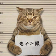 球球不要盗我号