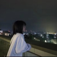 阳光彩虹小白马