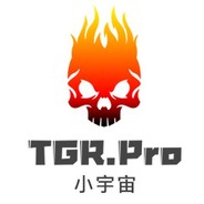 小宇宙呆头飞鸟