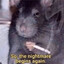 deathstickss