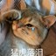 萌斧下三