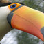 Toucan