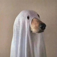 帝国の雄鹰丁真の気持