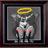 实名上网-陈晓飞