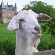 kiwidunnert