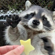 1天不抠没事的2天不抠没没事事的