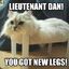 Lt. Dan&#039;s Legs