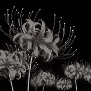 кабяков читер777