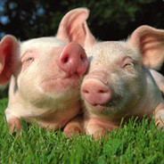 一天不导积阳德 两天不导积积阳阳德