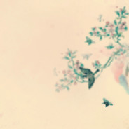 apex是宇宙超级无敌至尊噼里啪啦爆炸辣鸡游戏