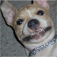 -=[M.T.E]=- |Hsx.Lowskiller