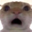 ilubwife