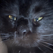 Mase🤬🤬🤬🤬🤬🤬🤬