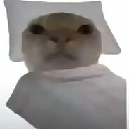 Ay mi gatito miau miau