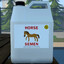 HORSE SEMEN
