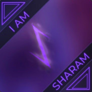 五星宇将军守护坤坤