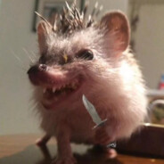 порно гей 777