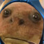 Pon