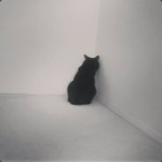 Аватар Кот в углу