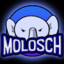 Molosch