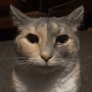 guh