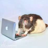 Mouse and keyboard