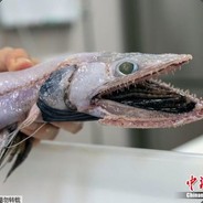 『SCP-CN』0.99_破烂胶带