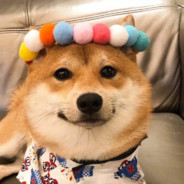 我是马文他爹叫马枪