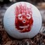 Wilson