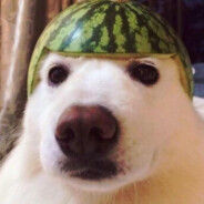 Picek