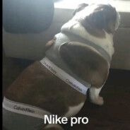 Nike pro max ultrapremium Class