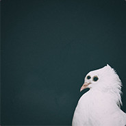 Plon - steam id 76561197960409632
