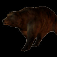 rapidly approaching bear