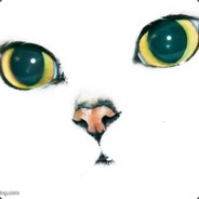 2582665219