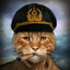 Captain Nami