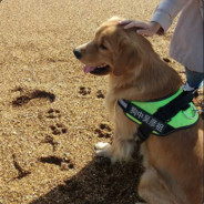 我想一个人静静