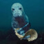 Rich Seal (you are broke)